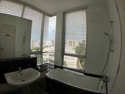 Balmoral Hills (D10), Condominium #595759341